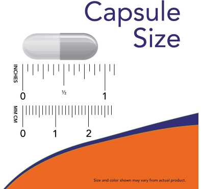Gaba y Vitamina B6, Apoyo al Sistema Nervioso, 500 mg. 200 cáps veganas