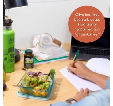 Olive Leaf soporte Inmunológico, 120 Vcaps