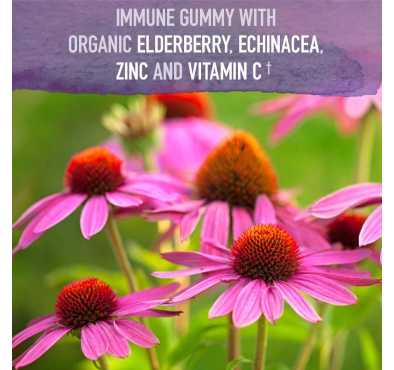 Elderberry Soporte Inmune, Echinacea, Zinc, Vitamina C. 120 Gomitas