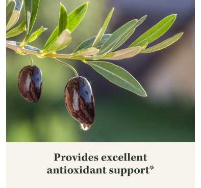 Olive Leaf soporte Inmunológico, 120 Vcaps