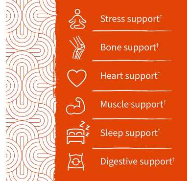 Magnesio con Prebióticos y Probióticos sabor Naranja Cremosa. 60 Gomitas