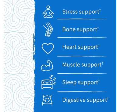 Magnesio con Prebióticos y Probióticos sabor Frambuesa. 60 Gomitas