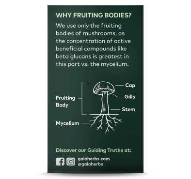 Hongo Melena de León (Lions Mane),  40 Vegan Caps