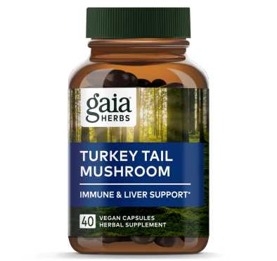 Hongo Turkey Tail, 40 Vegan Capsules