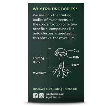 Hongo Turkey Tail, 40 Vegan Capsules